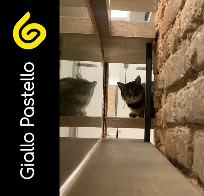 Percorso per gatti: symbiocat design - Giallo Pastello